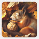 Search for squirrel with nut stickers Leaves