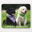 Search for breed electronics Labrador retriever