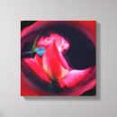 Search for pink floral canvas prints Botanical