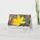 Search for crocus cards Nature