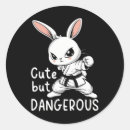 Search for karate lovers stickers 80s