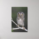 Search for owl painting canvas prints Portrait