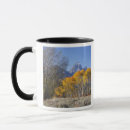 Search for aspen tree mugs Autumn