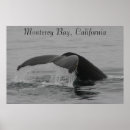 Search for fluke posters Monterey