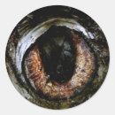 Search for eyeball stickers Creepy