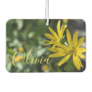 Search for daisy photography Yellow