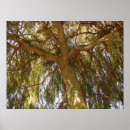 Search for willow tree art Green