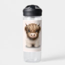 Search for scottish water bottles Scottish highland cow