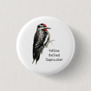 Search for bellis badges Bellied