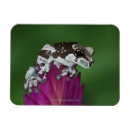 Search for milk magnets Nature