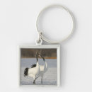 Search for crane key rings Outdoors