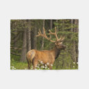Search for banff national park blankets Deer