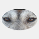 Search for wolf eyes stickers Dog