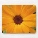 Search for daisy mousepads Pretty