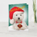 Search for westie lover cards Dogs