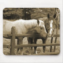 Search for stallionness electronics Equestrian