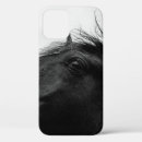 Search for black horse cases White
