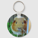 Search for guinea pig key rings Cavy