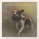 Search for coa barware Autumn