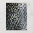 Search for scales postcards Pattern
