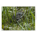 Search for subject postcards Cute