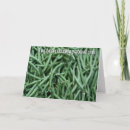 Search for producers cards Green