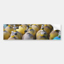 Search for scuba diving bumper stickers Ocean