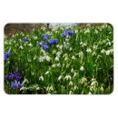 Search for hillside magnets Nature