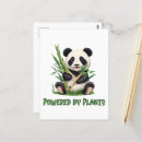 Search for panda bear postcards Bamboo
