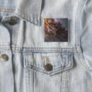 Search for black hole badges Universe