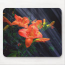 Search for enchanted mousepads Fantasy