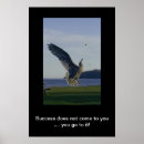 Search for gull photography Sea