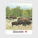 Search for bison stickers Wyoming
