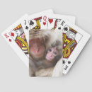 Search for monkey playing cards Young animal