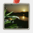 Search for grace christmas tree decorations Wildlife