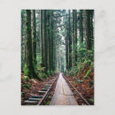 Search for train tracks postcards Nature