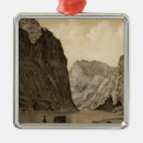 Search for river christmas tree decorations Arizona