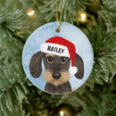 Search for dachshund christmas decor Teckel