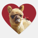 Search for alpaca lover stickers Llamas