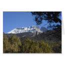 Search for creston Mountain