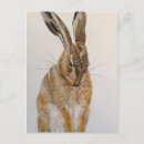 Search for hare paintings postcards Nature