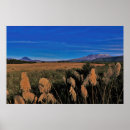 Search for tongariro posters New zealand