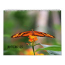Search for beautiful butterflies office supplies Monarch