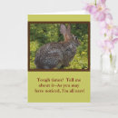 Search for bunny ears cards Cute bunny rabbit