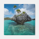 Search for coral magnets Fiji