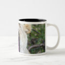 Search for lion roar mugs Roaring
