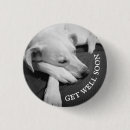 Search for sleeping badges Photography