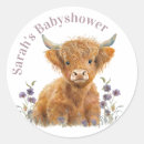 Search for highland cow stickers Cow baby shower