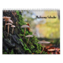 Search for macro office supplies Fungi
