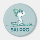 Search for skiing magnets Ski lodge